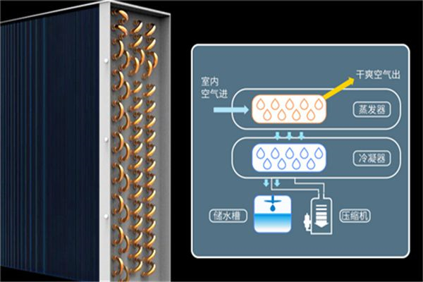 日照工業除濕機什么價格